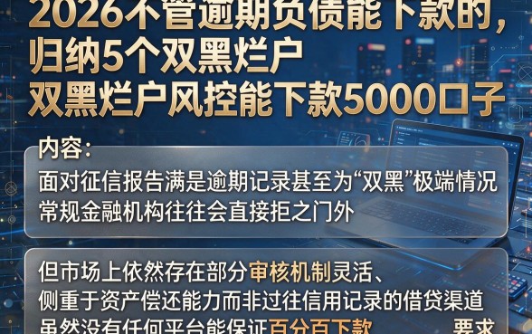 2026不管逾期负债能下款的,归纳5个双黑烂户风控能下款5000口子
