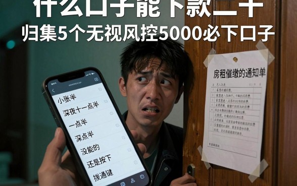 什么口子能下款二千,归集5个无视风控5000必下口子