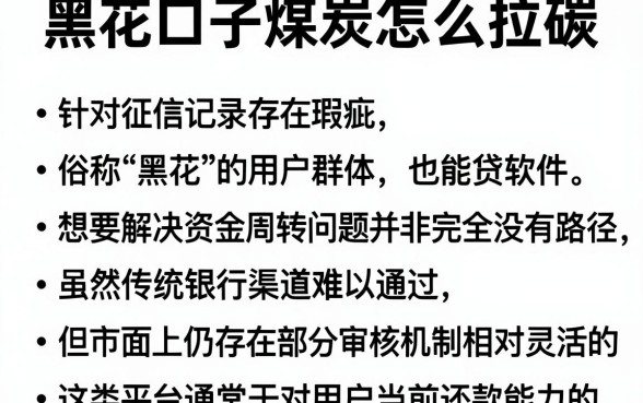 黑花口子煤炭怎么拉碳,理出五个黑征信也能贷款的网贷软件