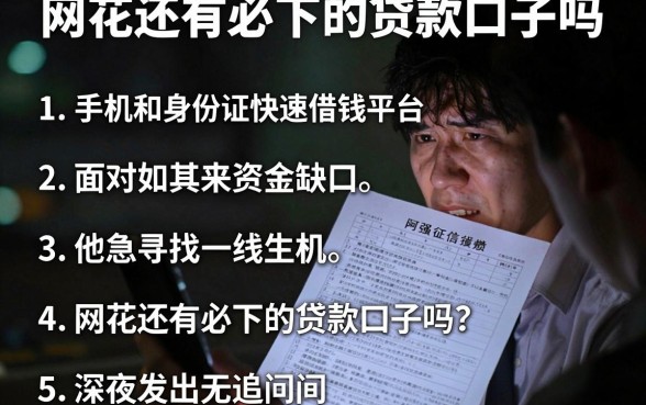 网花还有必下的贷款口子吗,条列5个手机和身份证快速借钱平台