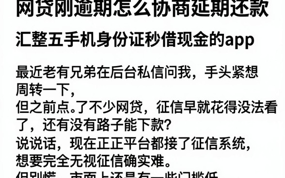 网贷刚逾期怎么协商延期还款，汇整五个手机身份证秒借现金的app