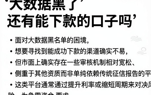 大数据黑了还有能下款的口子吗,梳理5个网贷无视不查征信软件