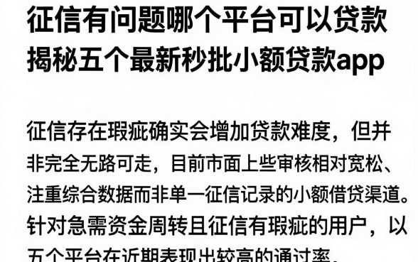 征信有问题哪个平台可以贷款，揭秘五个最新秒批小额贷款app