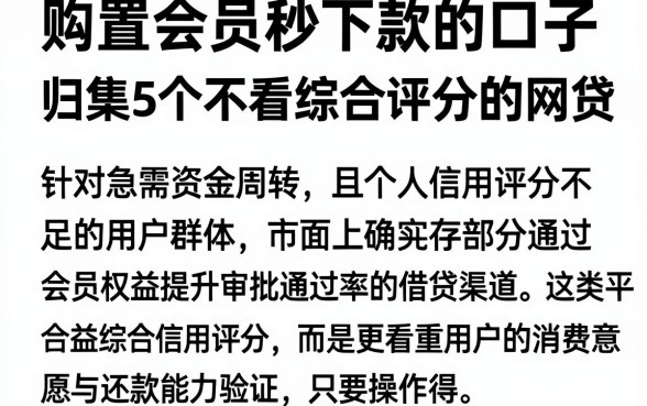 购置会员秒下款的口子,归集5个不看综合评分的网贷