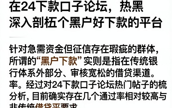 在24下款口子论坛,深入剖析五个黑户好下款的平台