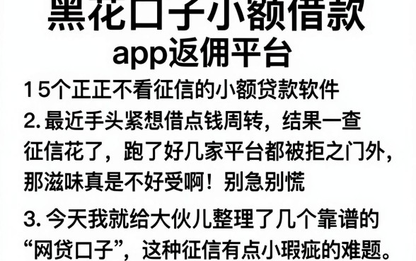 黑花口子小额借款app返佣平台,详细阐述5个正规不看征信的小额贷款软件
