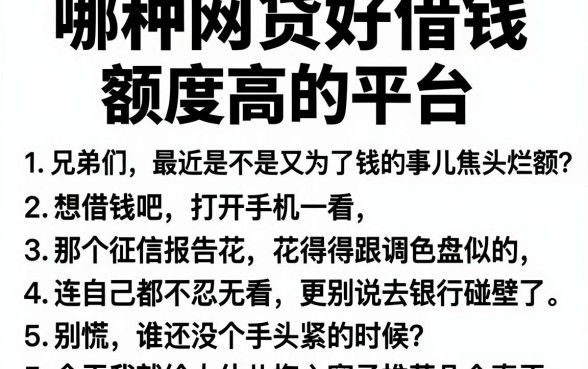 哪种网贷好借钱,额度高的平台,详尽说明5个逾期太多能下款平台