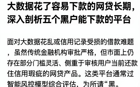大数据花了容易下款的网贷长期,深入剖析五个黑户能下款的平台