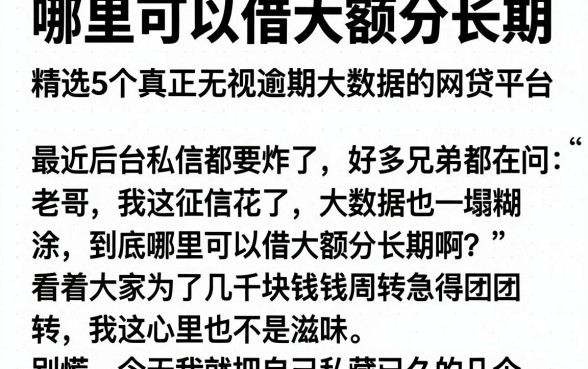 哪里可以借大额分长期,精选5个真正无视逾期大数据的网贷平台