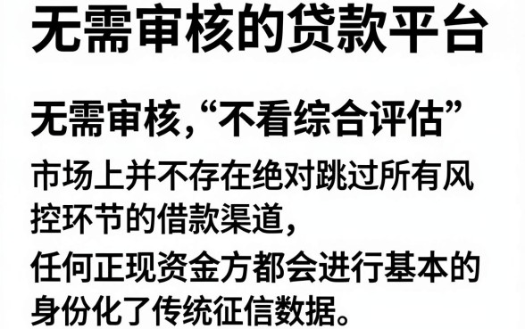 无需审核的贷款平台,详尽说明5个借钱平台不看综合评估的app