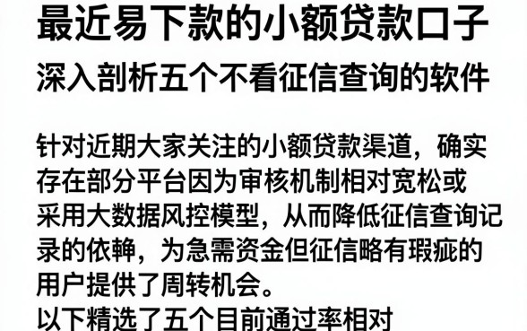 最近易下款的小额贷款口子,深入剖析五个不看征信查询的软件