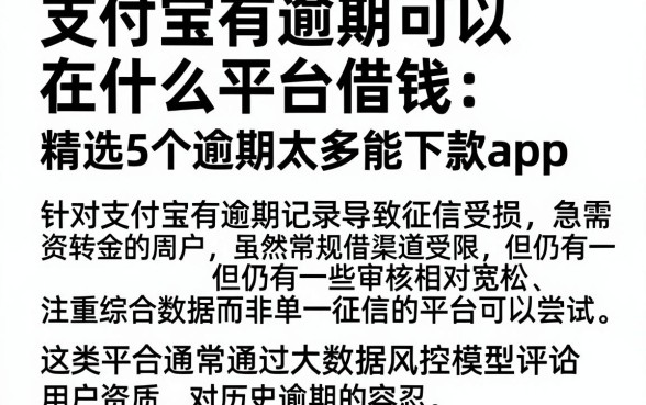 支付宝有逾期可以在什么平台借钱，精选5个逾期太多能下款app
