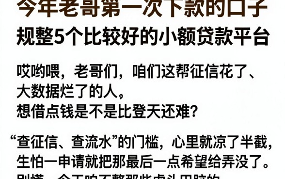 今年老哥第一次下款的口子,规整5个比较好的小额贷款平台