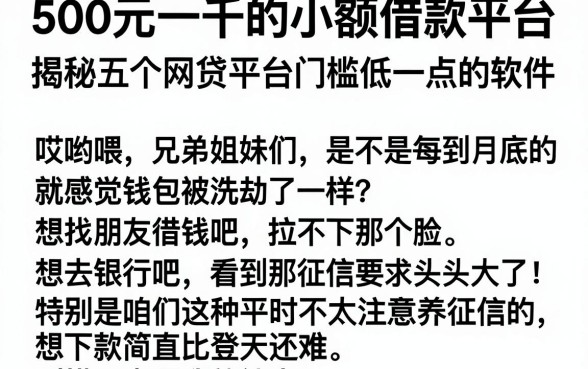 500元一千的小额借款平台,揭秘五个网贷平台门槛低一点的软件