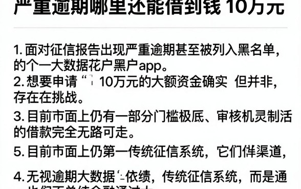 严重逾期哪里还能借到钱10万元，详细阐述五个无视逾期大数据花户黑户app