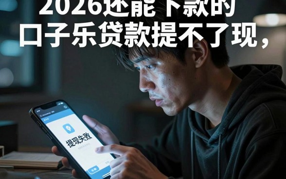 2026还能下款的口子乐贷款提不了现,理出5个真正无视风控黑白的网贷