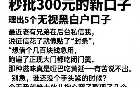 秒批300元的新口子,理出5个无视黑白户口子