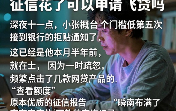 征信花了可以申请飞贷吗,详尽说明五个门槛低易下款平台