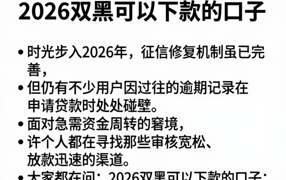 2026双黑可以下款的口子,条列五个比较好的小额贷款软件