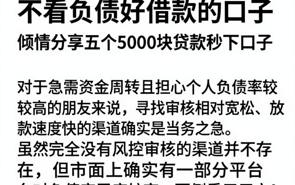 不看负债好借款的口子,倾情分享五个5000块贷款秒下口子
