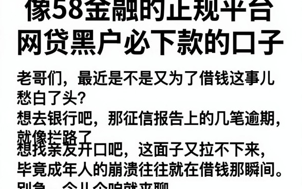 像58金融的正规平台,概括五个网贷黑户必下款的口子