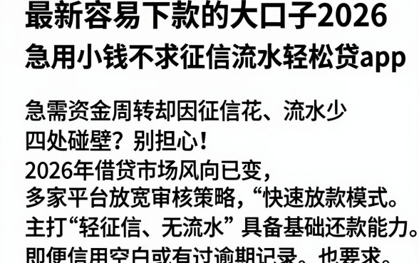 最新容易下款的大口子2026,陈列五个急用小钱不求征信流水轻松贷的app