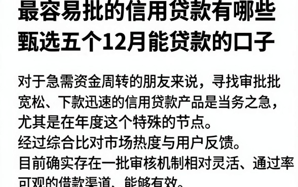 最容易批的信用贷款有哪些,甄选五个12月能贷款的口子