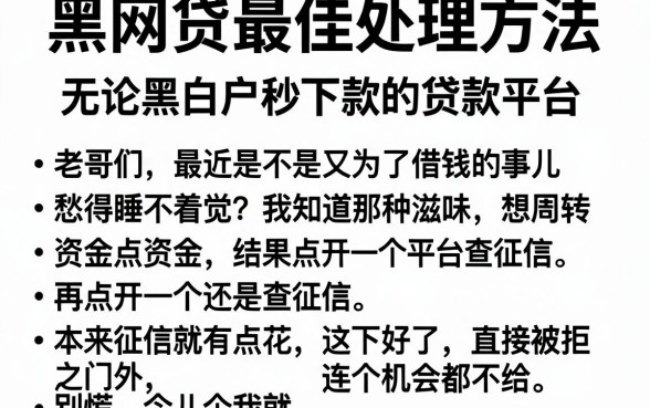 黑网贷最佳处理方法,筛选五个无论黑白户秒下款的贷款平台
