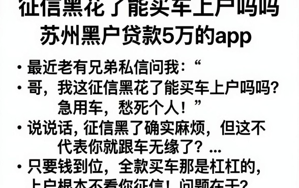 征信黑花了能买车上户吗吗,概括五个苏州黑户贷款5万的app