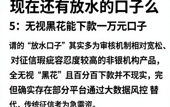 现在还有放水的口子么,筛选5个无视黑花能下款一万元口子