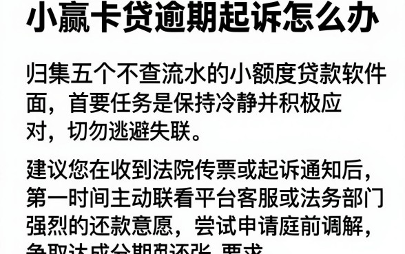 小赢卡贷逾期起诉怎么办,归集五个不查流水的小额度贷款软件
