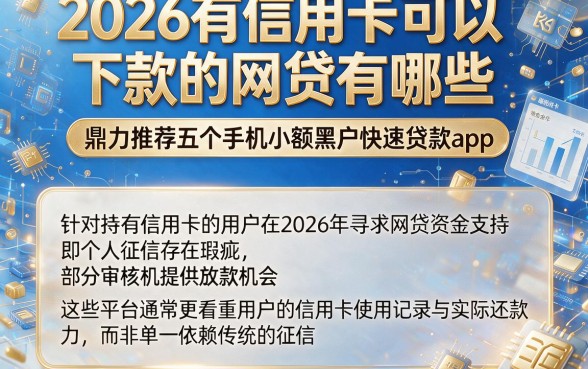 2026有信用卡可以下款的网贷有哪些，鼎力推荐五个手机小额黑户快速贷款app