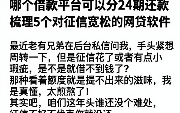 哪个借款平台可以分24期还款，梳理5个对征信宽松的网贷软件