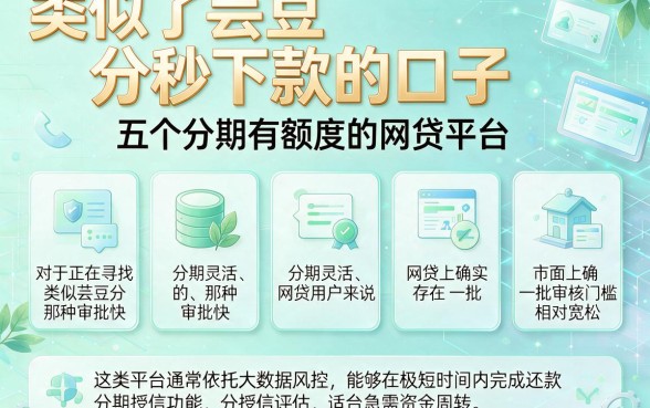 类似于芸豆分秒下款的口子，规整五个分期有额度的网贷平台
