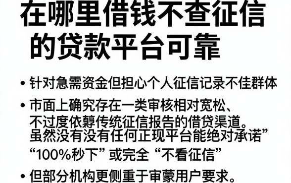 在哪里借钱不查征信的贷款平台可靠,归集五个无视黑白100%秒下网贷app