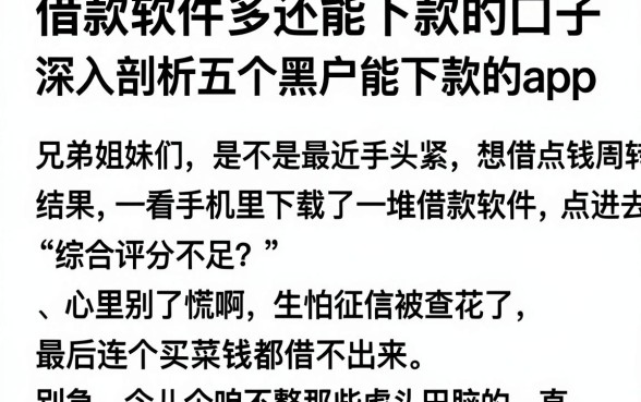 借款软件多还能下款的口子,深入剖析五个黑户能下款的app