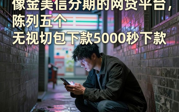 像金美信分期的网贷平台，陈列五个无视一切包下款5000秒下款的平台