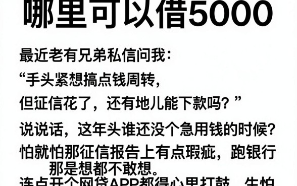 哪里可以借5000,细致阐述五个轻松借款无压力软件