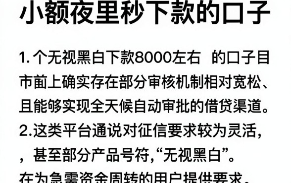 小额夜里秒下款的口子,详尽说明五个无视黑白下款8000左右的口子
