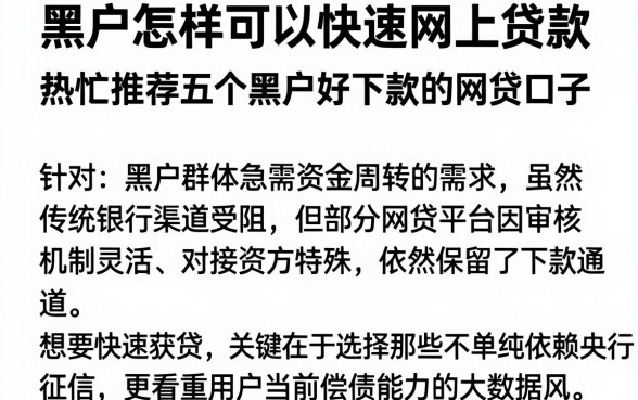黑户怎样可以快速网上贷款,热忱推荐五个黑户好下款的网贷口子