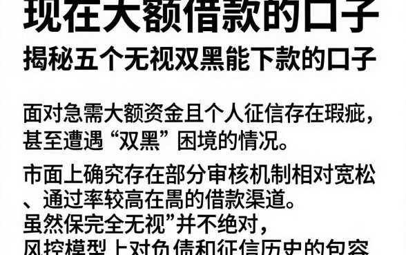 现在大额借款的口子，揭秘五个无视双黑能下款的口子