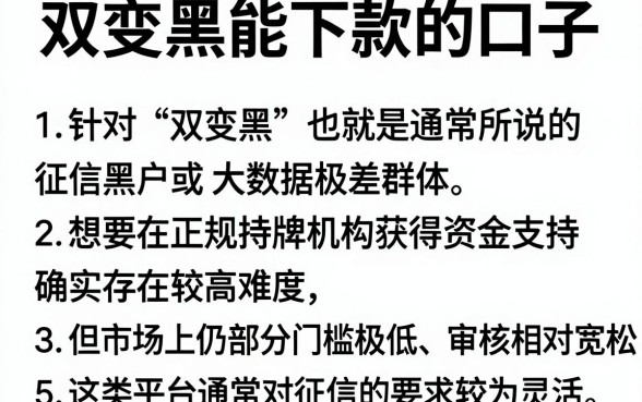 双变黑能下款的口子,概括5个不看年龄征信负债的软件