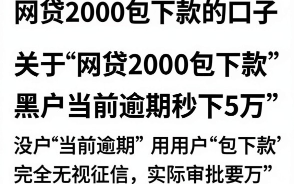 网贷2000包下款的口子，陈列5个黑户当前逾期秒下5万平台