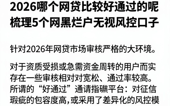 2026哪个网贷比较好通过的呢,梳理5个网黑烂户无视风控口子