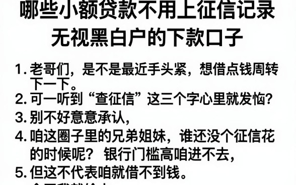 哪些小额贷款不用上征信记录,条列5个无视黑白户的下款口子