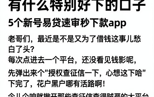 有什么特别好下的口子,详细阐述5个新号易贷速审秒下款app
