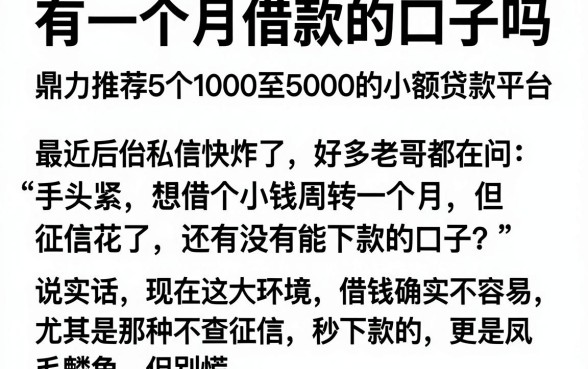 有一个月借款的口子吗,鼎力推荐5个1000至5000的小额贷款平台
