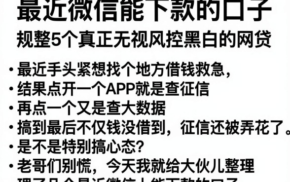 最近微信能下款的口子,规整5个真正无视风控黑白的网贷