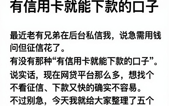 有信用卡就能下款的口子，详尽说明五个大学生可以使用的app