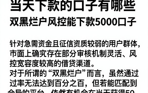 当天下款的口子有哪些，筛选五个双黑烂户风控能下款5000口子